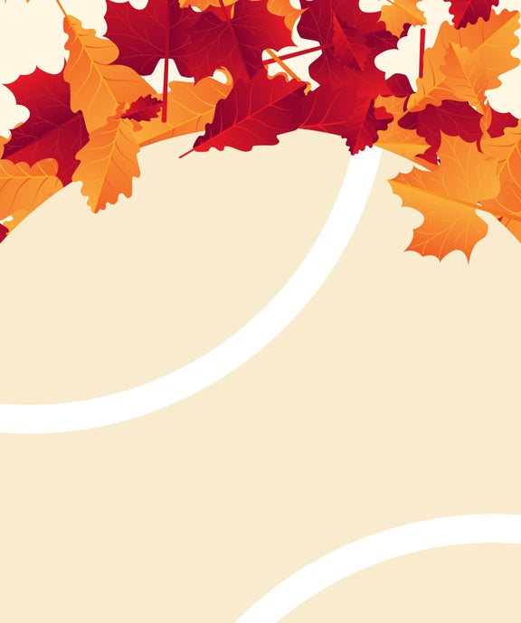 Promo d'automne