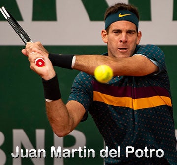 Repegar piel para ver Juan Martin del Potro Player Profile