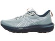 ASICS GT 1000 14 TR Herren Laufschuh Nature Bathing