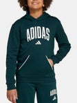 adidas Boy's Fall Collegiate Hoodie