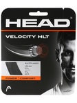 Head Velocity MLT 16g Tennis String Reel 200m 1.30mm Power Comfort