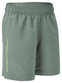 Under Armour Boy's Spring Woven Wdmk Short