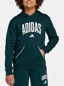 adidas Boy's Fall Collegiate Hoodie