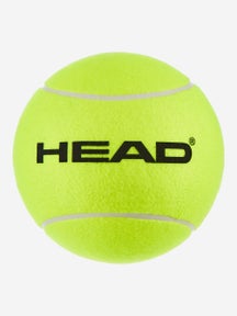 Palla Gigante Head