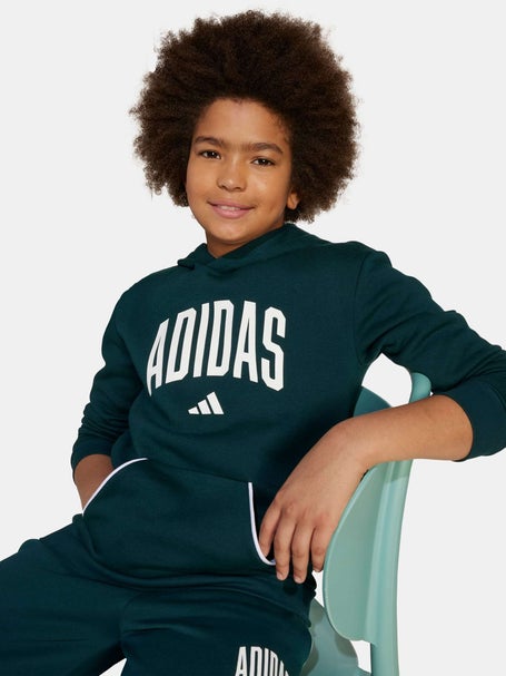 adidas Boys Fall Collegiate Hoodie