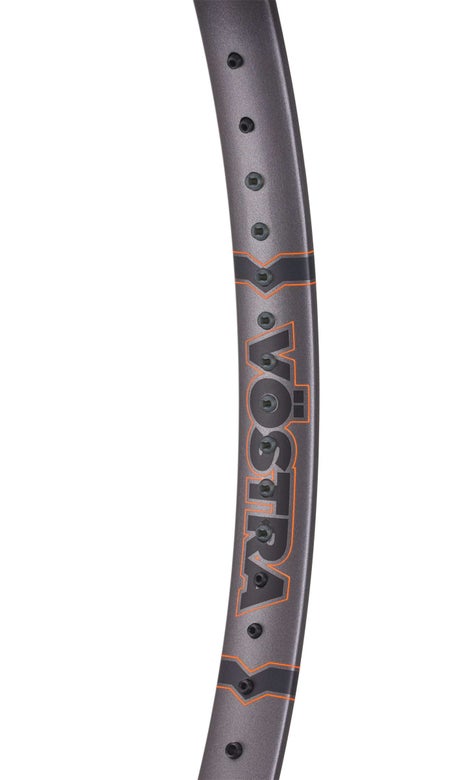 Raqueta Volkl Vostra V9 290 g 2024