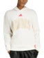 adidas Men's Stadium Graphic Hoodie