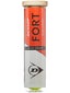 Tubo da 4 palline Dunlop Fort Clay Court Tennis