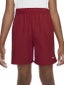 Nike Boy's Fall Performance Short