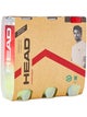 Pack 3 tubos de 3 pelotas HEAD Championship Novak