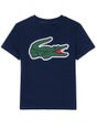 T-Shirt Garçon Lacoste Fall Croc