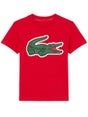 Lacoste Boy's Fall Croc Top