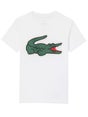 Lacoste Jungs Herbst Croc Top