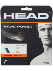 HEAD Hawk Power 1.25mm Tennissaite - 12,2m Set