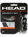 Corda Head Velocity MLT 1.25mm/17
