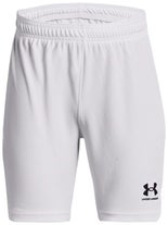 Under Armour Boy's Spring Y Challenger Core Short